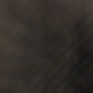 Meet your Posher, Gabby